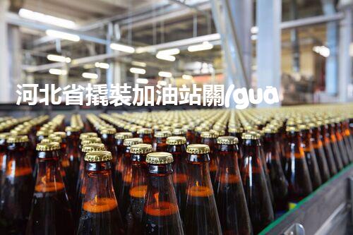 河北省撬裝加油站關(guān)鍵技術(shù)突破！化工廠拆除工程的新方法探索？